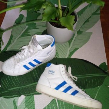 Adidas - Sneakers (White, Blue)