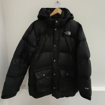 The north face  - Ski & Snowboard jackets (Black)