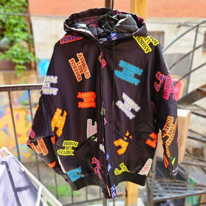 Assholes live forever x LV pullover windbreaker