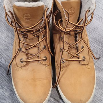 Timberland - Lace-up boots (Beige)