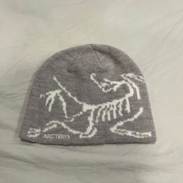 Arc'teryx - Hats & Caps, Hats | Vinted