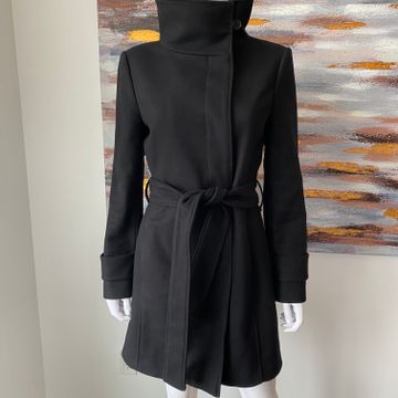 Aritzia  - Winter coats (Black)