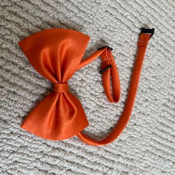 None - Ties & Bowties (Orange)