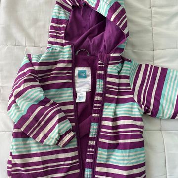 Tag - Coats (Purple)