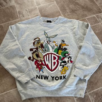 Warner Bros - Crew-neck sweaters (Grey)
