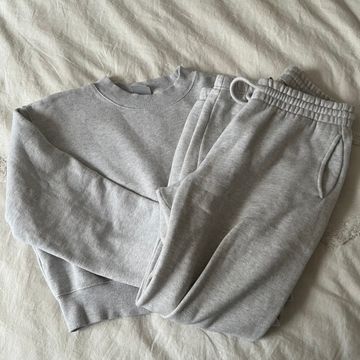 Aritzia  - Hoodies & Sweatshirts (Grey)