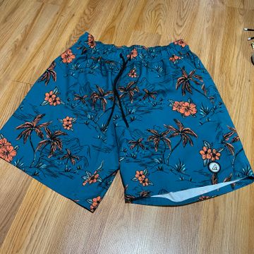 Ripzone  - Swim trunks (Blue, Orange)