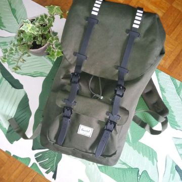Herschel Supply Co. - Backpacks (Black, Green)