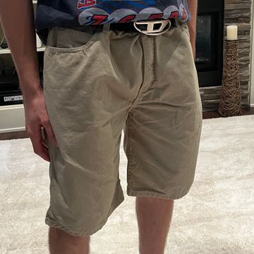 Dickies - Cargo shorts (Brown, Beige)