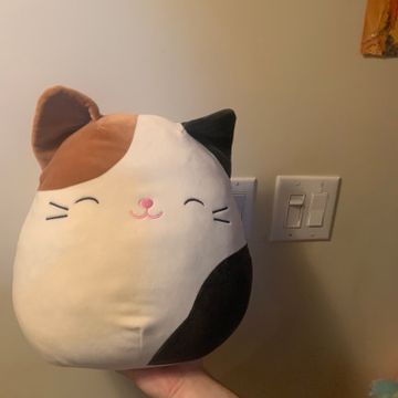 Squishmallow  - Other toys & games (White, Black, Brown)