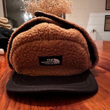 The north face  - Caps & Hats (Black, Brown)