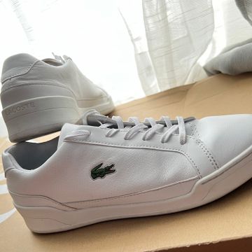 Lacoste  - Sneakers (Blanc)