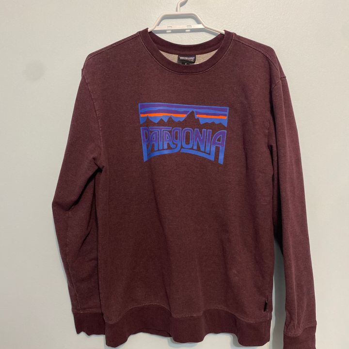 Patagonia sales crew sweatshirt