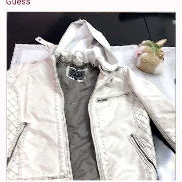 Guess - Leather jackets (Grey, Beige)