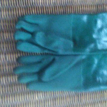 Best - Gloves (Green)