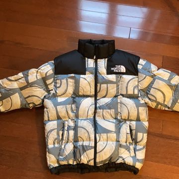 The north face - Coats, Puffers | Vinted